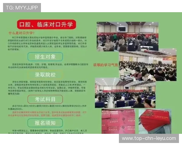2026年篮球联赛青训营优秀营员升学与就业扶持年度指南发布，青年篮球培训基地